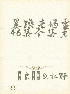 暴躁老妈电视剧46集全集免费播放在线