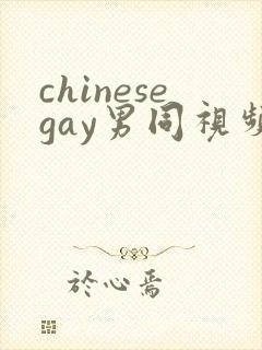 chinesegay男同视频网站
