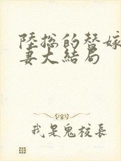 陆总的替嫁小宠妻大结局