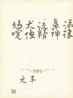 幼犬流鼻涕打喷嚏但精神很好