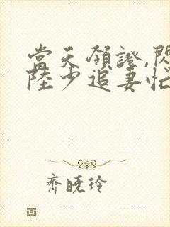 当天领证,闪婚陆少追妻忙短剧封面