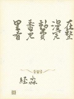 里番动漫在线观看免费完整版