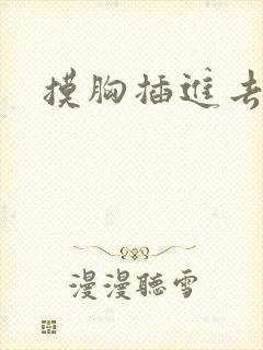 摸胸插进去视频