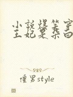 小说爆笑穿越:王妃是朵白莲花免费下载