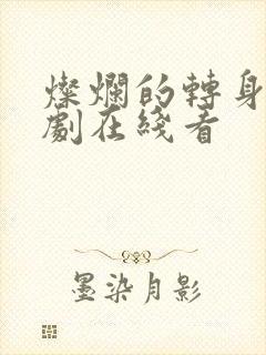 灿烂的转身电视剧在线看