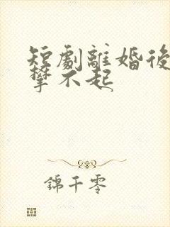 短剧离婚后他高攀不起