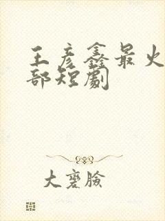 王彦鑫最火的十部短剧