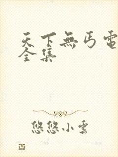 天下无丐电视剧全集封面