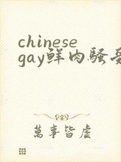 chinesegay鲜肉骚受