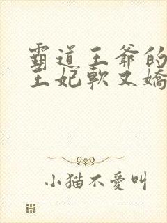 霸道王爷的替嫁王妃软又娇 小说