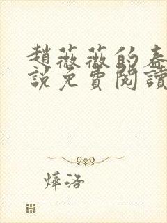 赵薇薇的春宵小说免费阅读