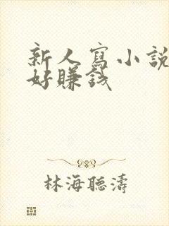 新人写小说哪里好赚钱