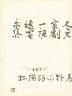 永远一家人40集电视剧免费观看