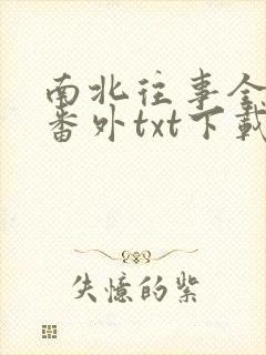 南北往事全文加番外txt下载