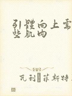 引体向上需要哪些肌肉