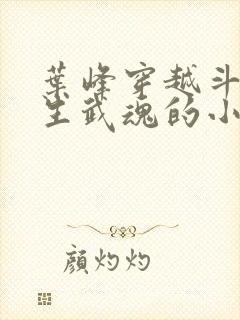 叶峰穿越斗罗三生武魂的小说