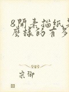 8开素描纸是什么样的有多大