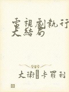 电视剧执行法官大结局