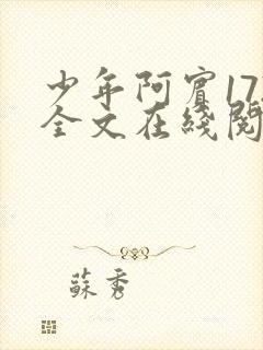 少年阿宾172全文在线阅读封面