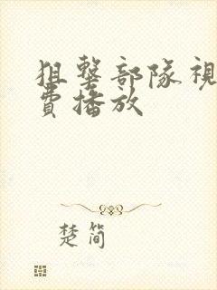 狙击部队视频免费播放