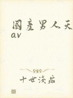 国产男人天堂网av