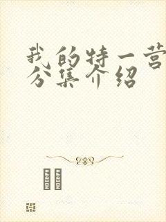 我的特一营剧情分集介绍