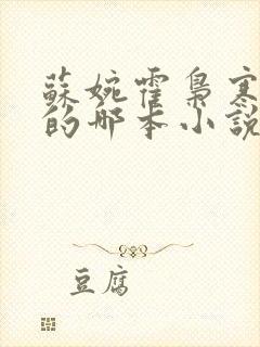 苏婉霍枭寒模仿的哪本小说