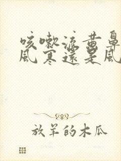 咳嗽流黄鼻涕是风寒还是风热