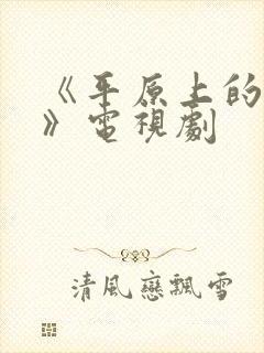 《平原上的摩西》电视剧