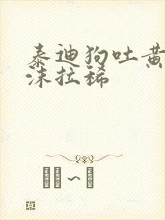 泰迪狗吐黄水带沫拉稀封面