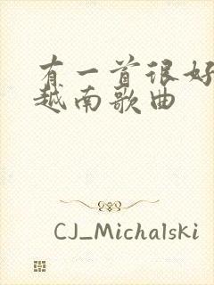 有一首很好听的越南歌曲