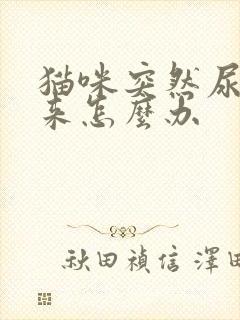 猫咪突然尿不出来怎么办封面