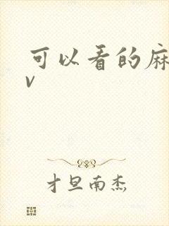 可以看的麻豆av封面