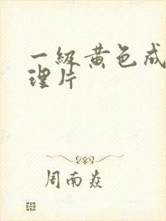 一级黄色成人伦理片