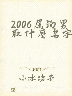 2006属狗男取什么名字最好封面