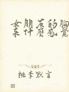 女朋友的胸摸起来什么感觉