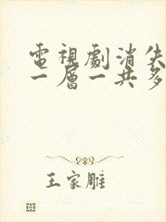 电视剧消失的十一层一共多少集