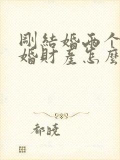 刚结婚两个月离婚财产怎么分