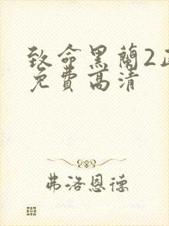 致命黑兰2正版免费高清