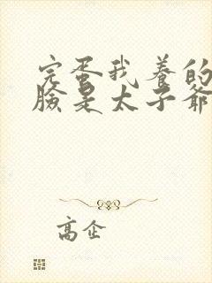 完蛋我养的小白脸是太子爷短剧封面