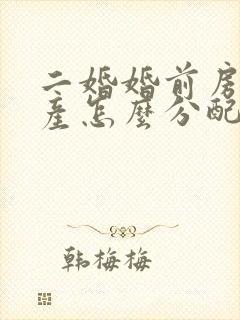 二婚婚前房产遗产怎么分配