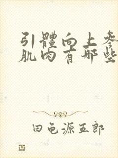 引体向上参与的肌肉有哪些