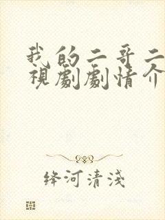 我的二哥二嫂电视剧剧情介绍