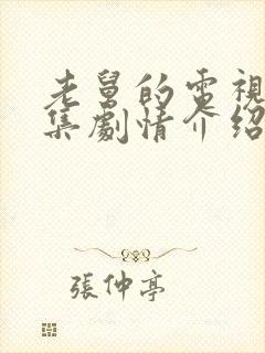 老舅的电视剧分集剧情介绍封面