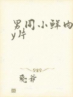 男同小鲜肉gay片封面