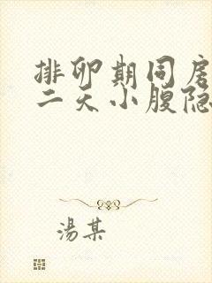 排卵期同房后第二天小腹隐隐作痛封面