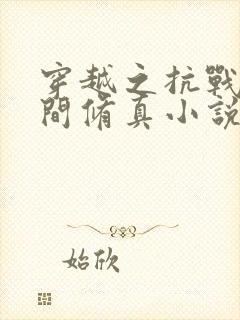 穿越之抗战带空间修真小说