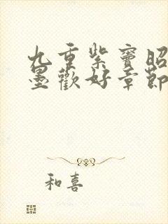 九重紫窦昭和宋墨欢好章节封面