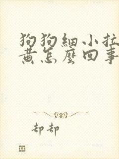 狗狗细小拉尿很黄怎么回事