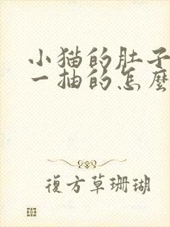 小猫的肚子一抽一抽的怎么回事